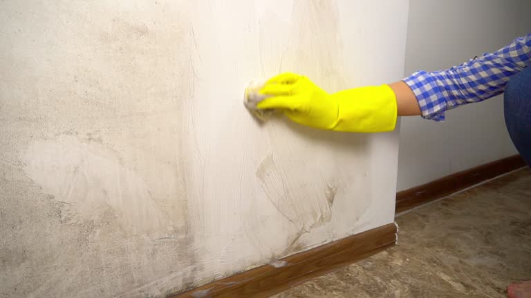 Best Commercial Mold Inspection  in Topton, PA