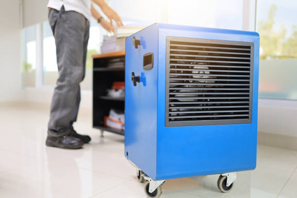 Best HVAC Mold Inspection and Cleaning  in Topton, PA